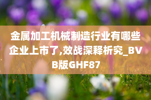 金属加工机械制造行业有哪些企业上市了,效战深释析究_BVB版GHF87