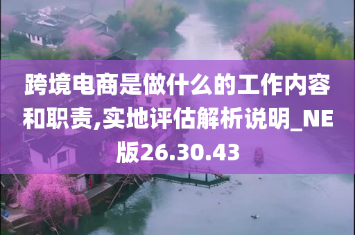 跨境电商是做什么的工作内容和职责,实地评估解析说明_NE版26.30.43