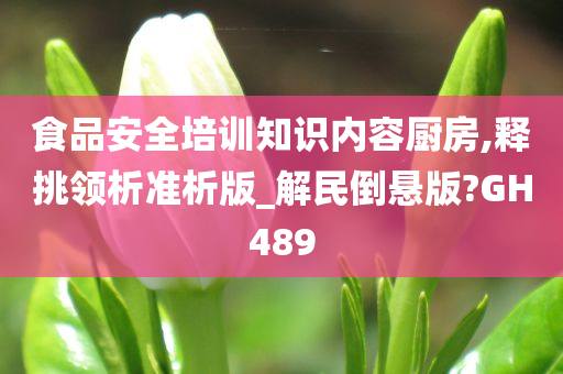 食品安全培训知识内容厨房,释挑领析准析版_解民倒悬版?GH489