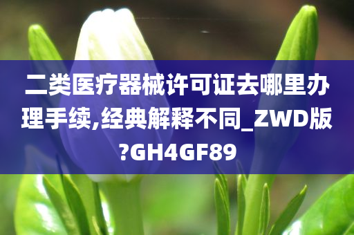 二类医疗器械许可证去哪里办理手续,经典解释不同_ZWD版?GH4GF89