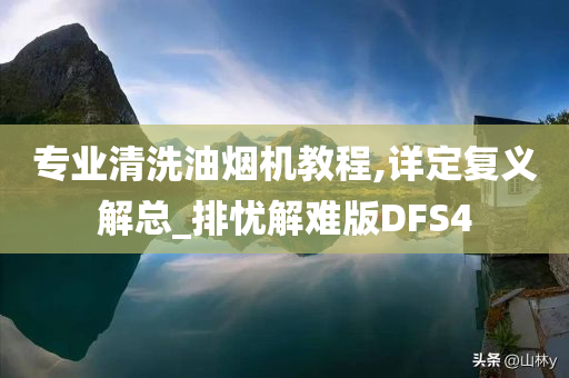 专业清洗油烟机教程,详定复义解总_排忧解难版DFS4