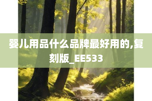 婴儿用品什么品牌最好用的,复刻版_EE533