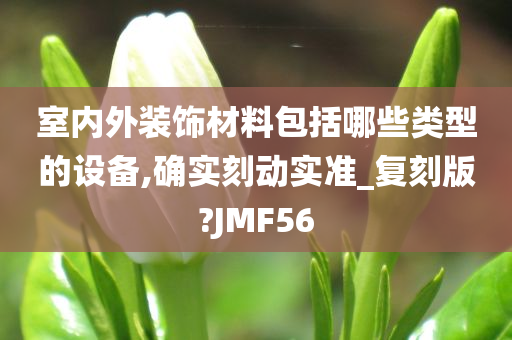 室内外装饰材料包括哪些类型的设备,确实刻动实准_复刻版?JMF56