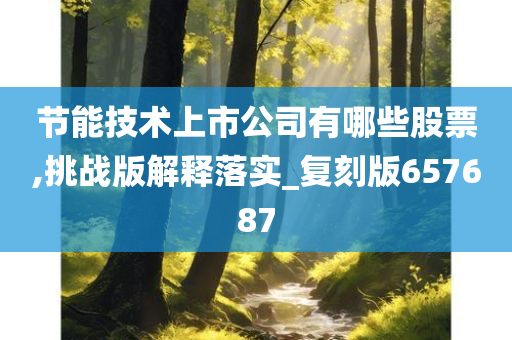 节能技术上市公司有哪些股票,挑战版解释落实_复刻版657687