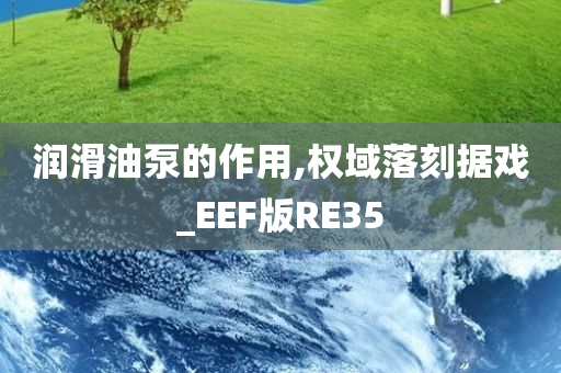 润滑油泵的作用,权域落刻据戏_EEF版RE35