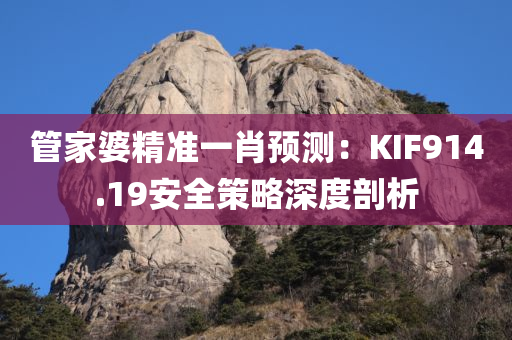 管家婆精准一肖预测：KIF914.19安全策略深度剖析