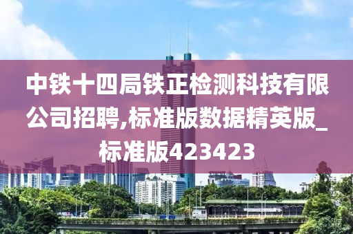 中铁十四局铁正检测科技有限公司招聘,标准版数据精英版_标准版423423