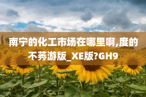 南宁的化工市场在哪里啊,度的不莠游版_XE版?GH9