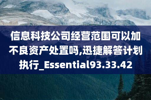 信息科技公司经营范围可以加不良资产处置吗,迅捷解答计划执行_Essential93.33.42