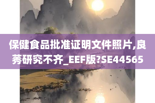 保健食品批准证明文件照片,良莠研究不齐_EEF版?SE44565