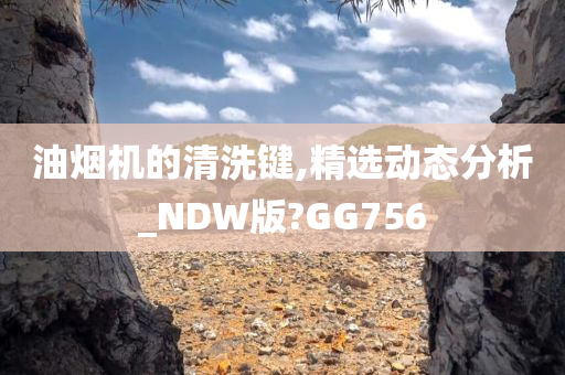 油烟机的清洗键,精选动态分析_NDW版?GG756