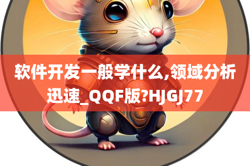 软件开发一般学什么,领域分析迅速_QQF版?HJGJ77