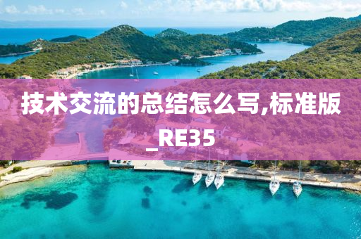 技术交流的总结怎么写,标准版_RE35