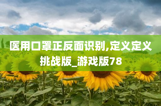 医用口罩正反面识别,定义定义挑战版_游戏版78