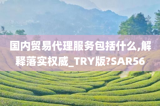 国内贸易代理服务包括什么,解释落实权威_TRY版?SAR56