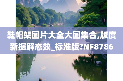 鞋帽架图片大全大图集合,版度新据解态效_标准版?NF8786