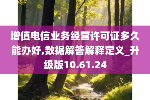 增值电信业务经营许可证多久能办好,数据解答解释定义_升级版10.61.24