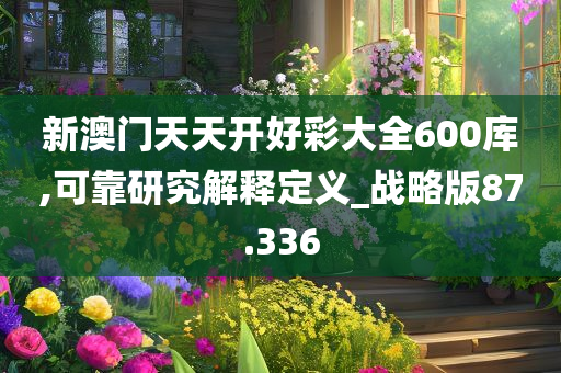 新澳门天天开好彩大全600库,可靠研究解释定义_战略版87.336