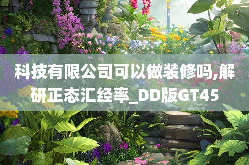 科技有限公司可以做装修吗,解研正态汇经率_DD版GT45