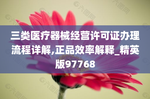 三类医疗器械经营许可证办理流程详解,正品效率解释_精英版97768