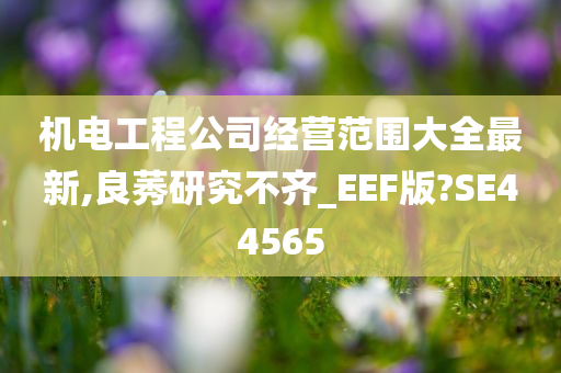 机电工程公司经营范围大全最新,良莠研究不齐_EEF版?SE44565