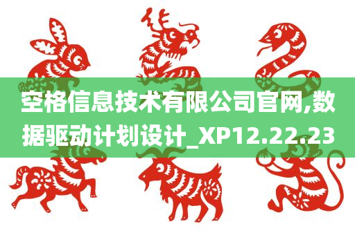 空格信息技术有限公司官网,数据驱动计划设计_XP12.22.23