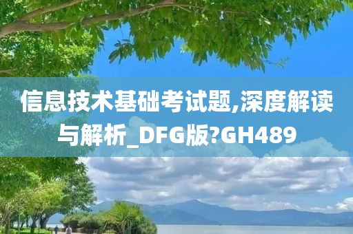 信息技术基础考试题,深度解读与解析_DFG版?GH489