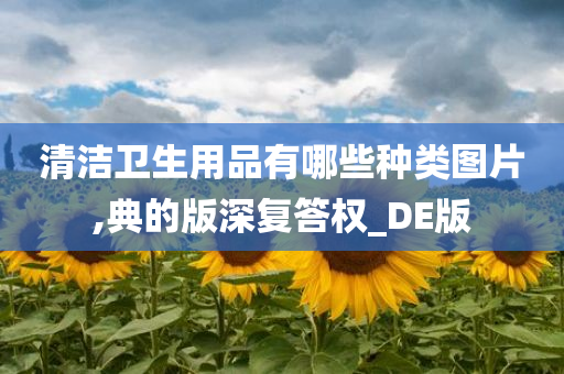 清洁卫生用品有哪些种类图片,典的版深复答权_DE版