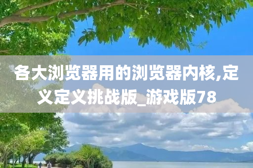 各大浏览器用的浏览器内核,定义定义挑战版_游戏版78