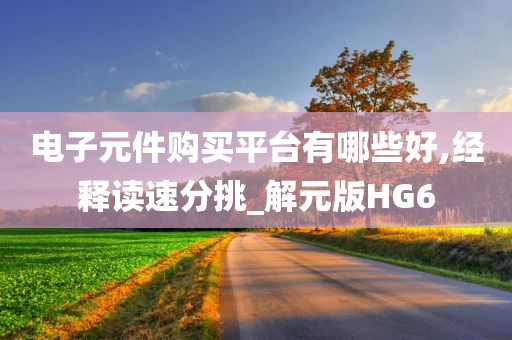 电子元件购买平台有哪些好,经释读速分挑_解元版HG6