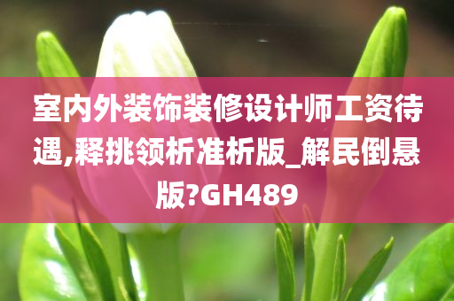 室内外装饰装修设计师工资待遇,释挑领析准析版_解民倒悬版?GH489