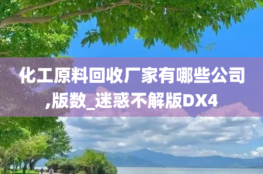 化工原料回收厂家有哪些公司,版数_迷惑不解版DX4