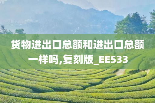 货物进出口总额和进出口总额一样吗,复刻版_EE533