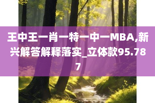 王中王一肖一特一中一MBA,新兴解答解释落实_立体款95.787