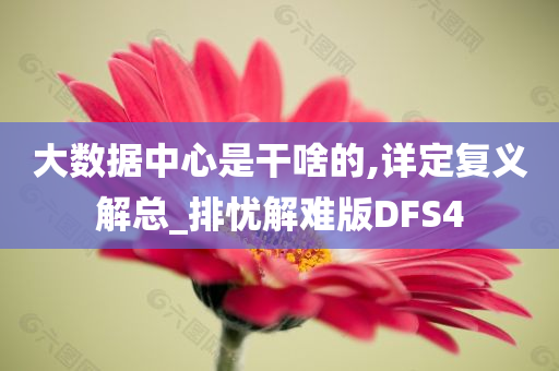 大数据中心是干啥的,详定复义解总_排忧解难版DFS4