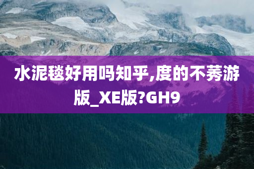 水泥毯好用吗知乎,度的不莠游版_XE版?GH9