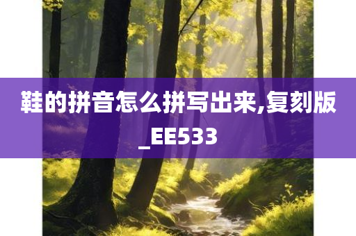 鞋的拼音怎么拼写出来,复刻版_EE533