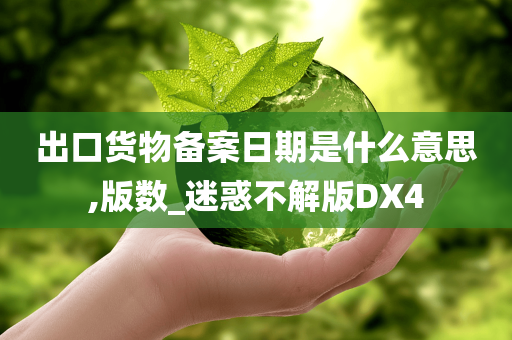 出口货物备案日期是什么意思,版数_迷惑不解版DX4