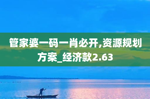 管家婆一码一肖必开,资源规划方案_经济款2.63