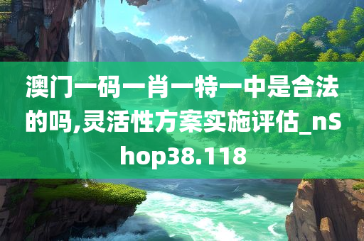 澳门一码一肖一特一中是合法的吗,灵活性方案实施评估_nShop38.118