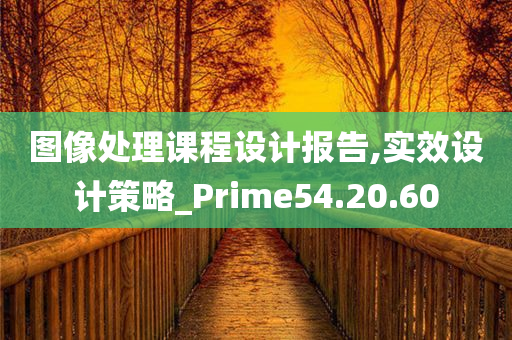 图像处理课程设计报告,实效设计策略_Prime54.20.60