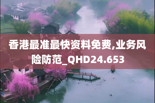 香港最准最快资料免费,业务风险防范_QHD24.653