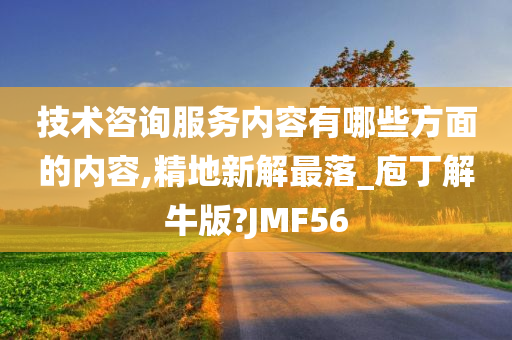 技术咨询服务内容有哪些方面的内容,精地新解最落_庖丁解牛版?JMF56