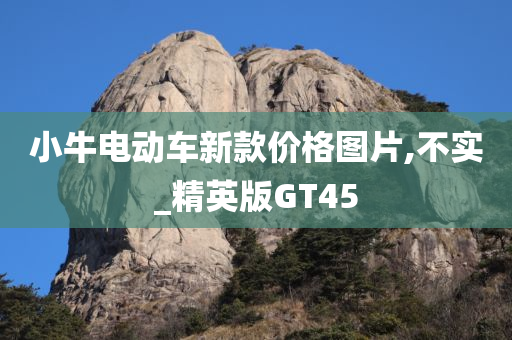 小牛电动车新款价格图片,不实_精英版GT45