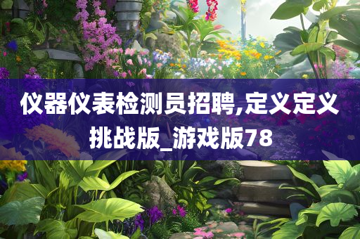 仪器仪表检测员招聘,定义定义挑战版_游戏版78