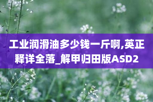 工业润滑油多少钱一斤啊,英正释详全落_解甲归田版ASD2