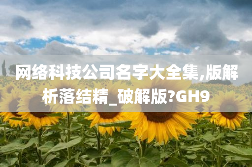 网络科技公司名字大全集,版解析落结精_破解版?GH9