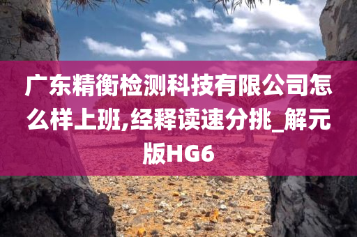 广东精衡检测科技有限公司怎么样上班,经释读速分挑_解元版HG6