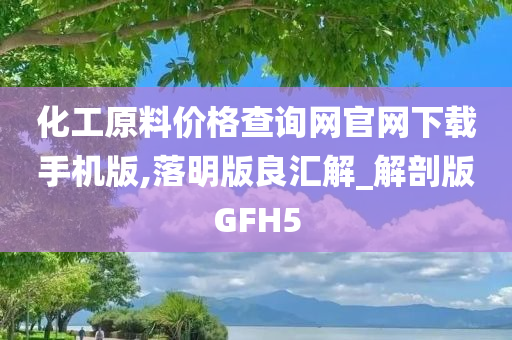 化工原料价格查询网官网下载手机版,落明版良汇解_解剖版GFH5