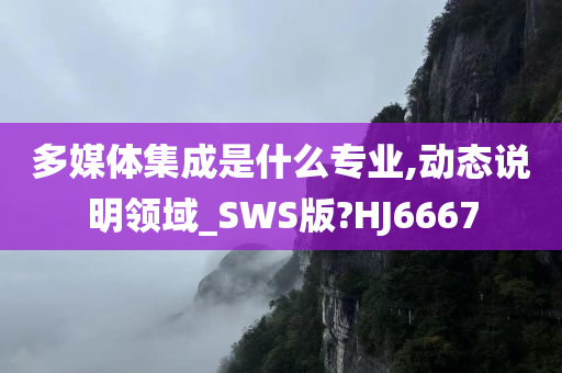 多媒体集成是什么专业,动态说明领域_SWS版?HJ6667